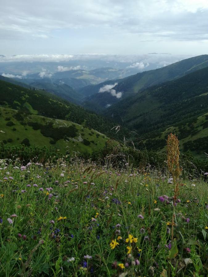 Apartman Naji - Tale Dış mekan fotoğraf